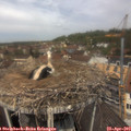 12_15-nest.jpg