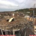 12_25-nest.jpg