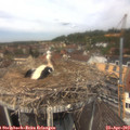 12_30-nest.jpg