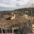 12_50-nest.jpg