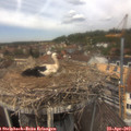 12_55-nest.jpg