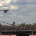 13_05-mast.jpg