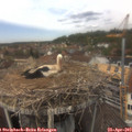 13_05-nest.jpg