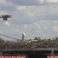 13_20-mast.jpg