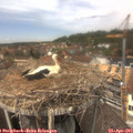 13_25-nest.jpg