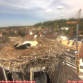 13_30-nest.jpg