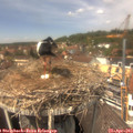 13_40-nest.jpg