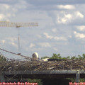 13_45-mast.jpg