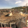13_45-nest.jpg