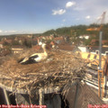 14_00-nest.jpg