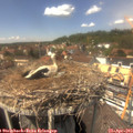 14_10-nest.jpg