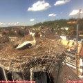14_15-nest.jpg