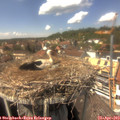 14_30-nest.jpg