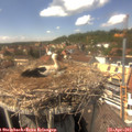 14_35-nest.jpg