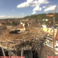 14_40-nest.jpg