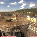 14_45-nest.jpg