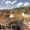 14_50-nest.jpg