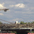 15_00-mast.jpg
