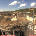 15_00-nest.jpg
