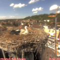 15_10-nest.jpg