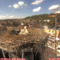 15_15-nest.jpg