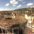 15_25-nest.jpg