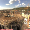 15_40-nest.jpg
