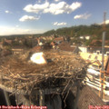 15_50-nest.jpg