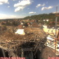 15_55-nest.jpg