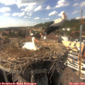 16_15-nest.jpg