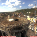 16_35-nest.jpg