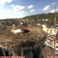 16_40-nest.jpg