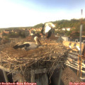 16_55-nest.jpg