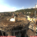 17_15-nest.jpg