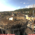 17_25-nest.jpg