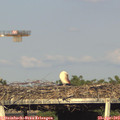 18_25-mast.jpg