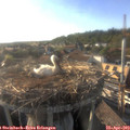 18_30-nest.jpg