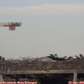 19_05-mast.jpg