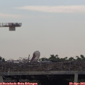 19_15-mast.jpg