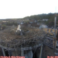19_20-nest.jpg