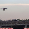 19_30-mast.jpg