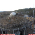 19_30-nest.jpg