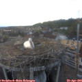 19_35-nest.jpg