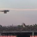 19_45-mast.jpg