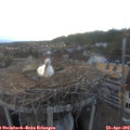 19_45-nest.jpg