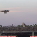 19_55-mast.jpg