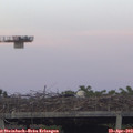 20_00-mast.jpg