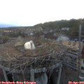 20_00-nest.jpg