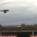 06_15-mast.jpg