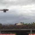 06_20-mast.jpg